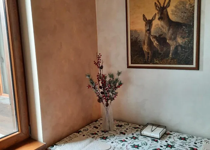 Svetoslava 팜포로보